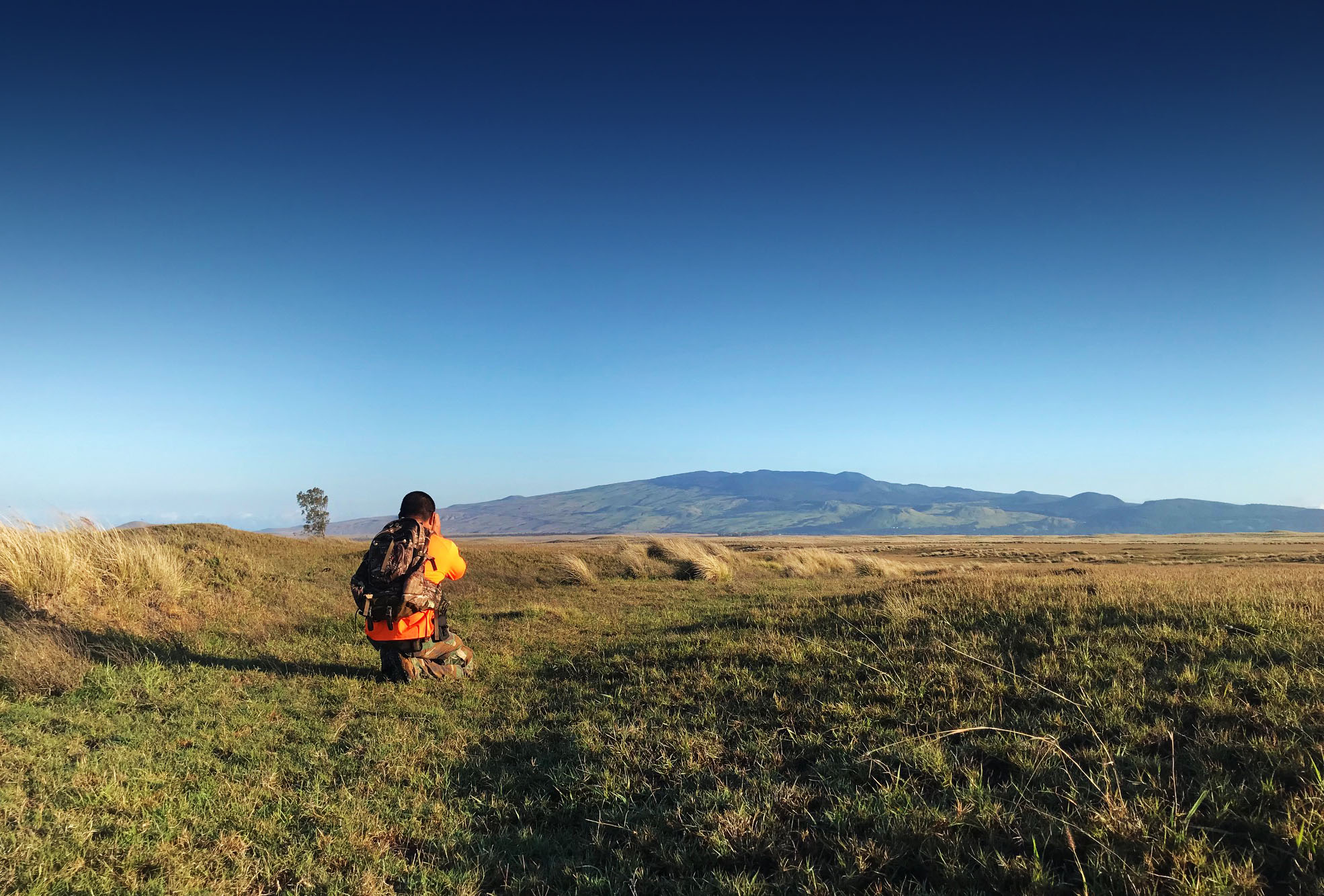 Parker Ranch Hunting — photo 1